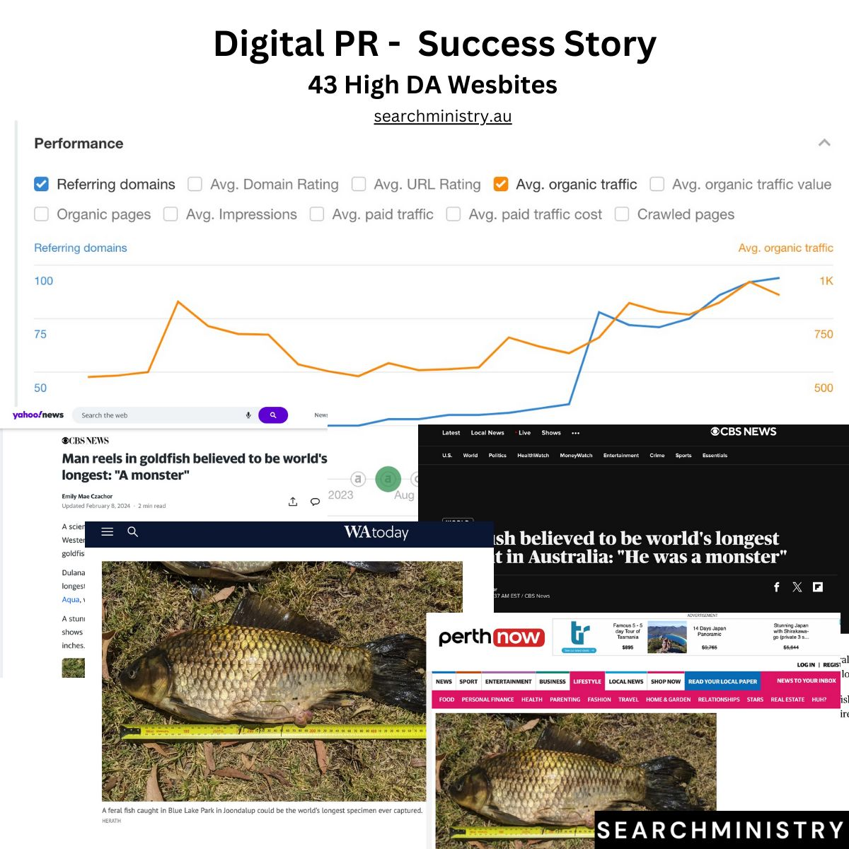 Digital PR success story showing 43 high DA website coverages and referring domain growth