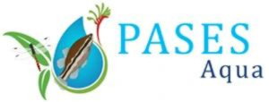 Pases Aqua logo