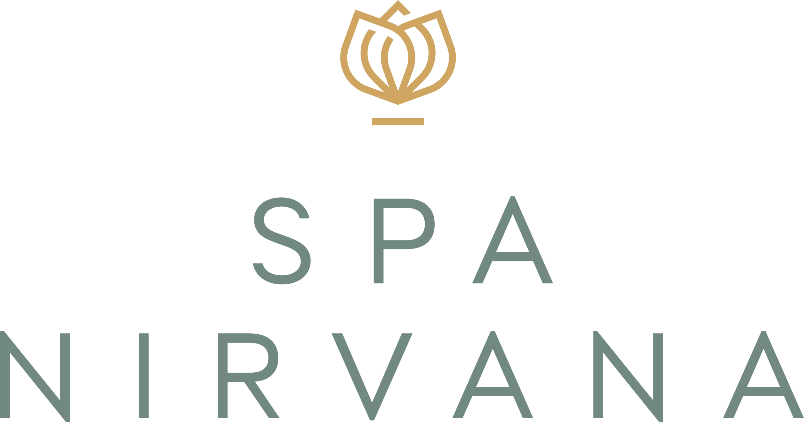 Spa Nirvana Logo